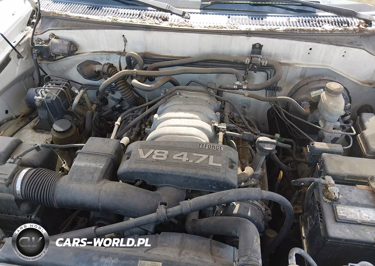 2004 Toyota Sequoia Limited V8 VIN:5TDZT38AX4S233545 - 10