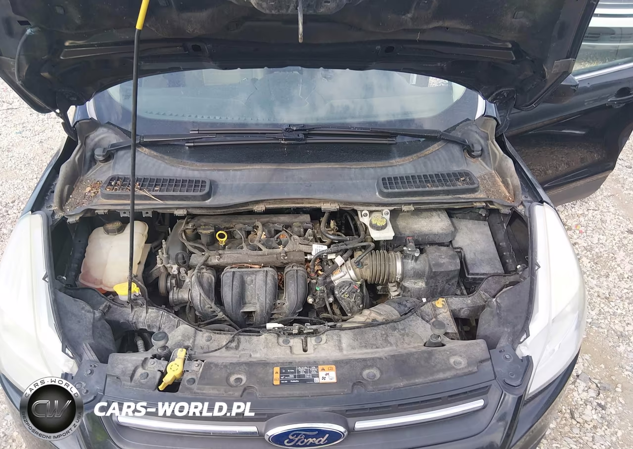 2015 Ford Escape Se VIN:1FMCU0G76FUA17404 - 10