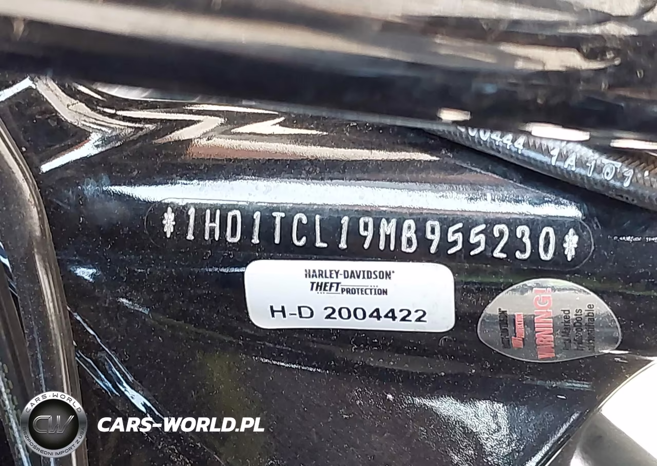 2021 Harley-Davidson Fltrxse VIN:1HD1TCL19MB955230 - 10