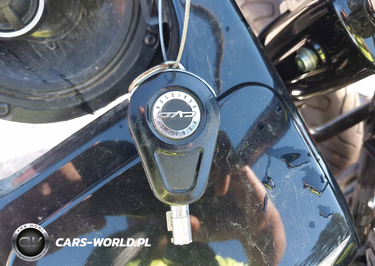 2021 Harley-Davidson Fltrxse VIN:1HD1TCL19MB955230 - 11