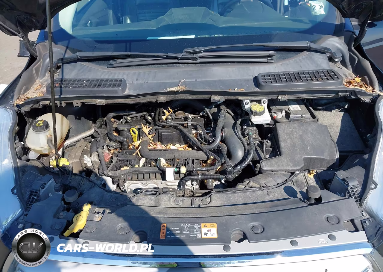 2019 Ford Escape Sel VIN:1FMCU0HD3KUA28990 - 10