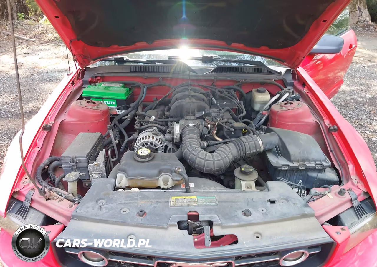 2007 Ford Mustang V6 Deluxe-V6 Premium VIN:1ZVHT80NX75259027 - 10