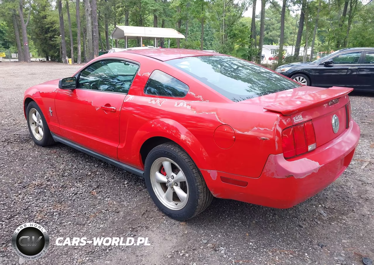2007 Ford Mustang V6 Deluxe-V6 Premium VIN:1ZVHT80NX75259027 - 3