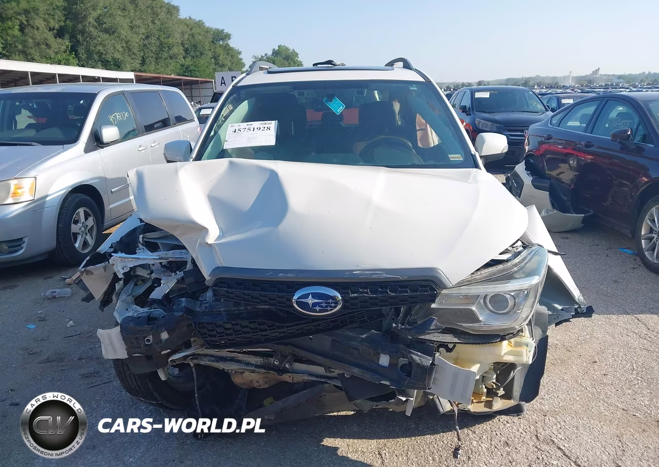 2017 Subaru Forester 2.5I Touring VIN:JF2SJAWC0HH428999 - 12