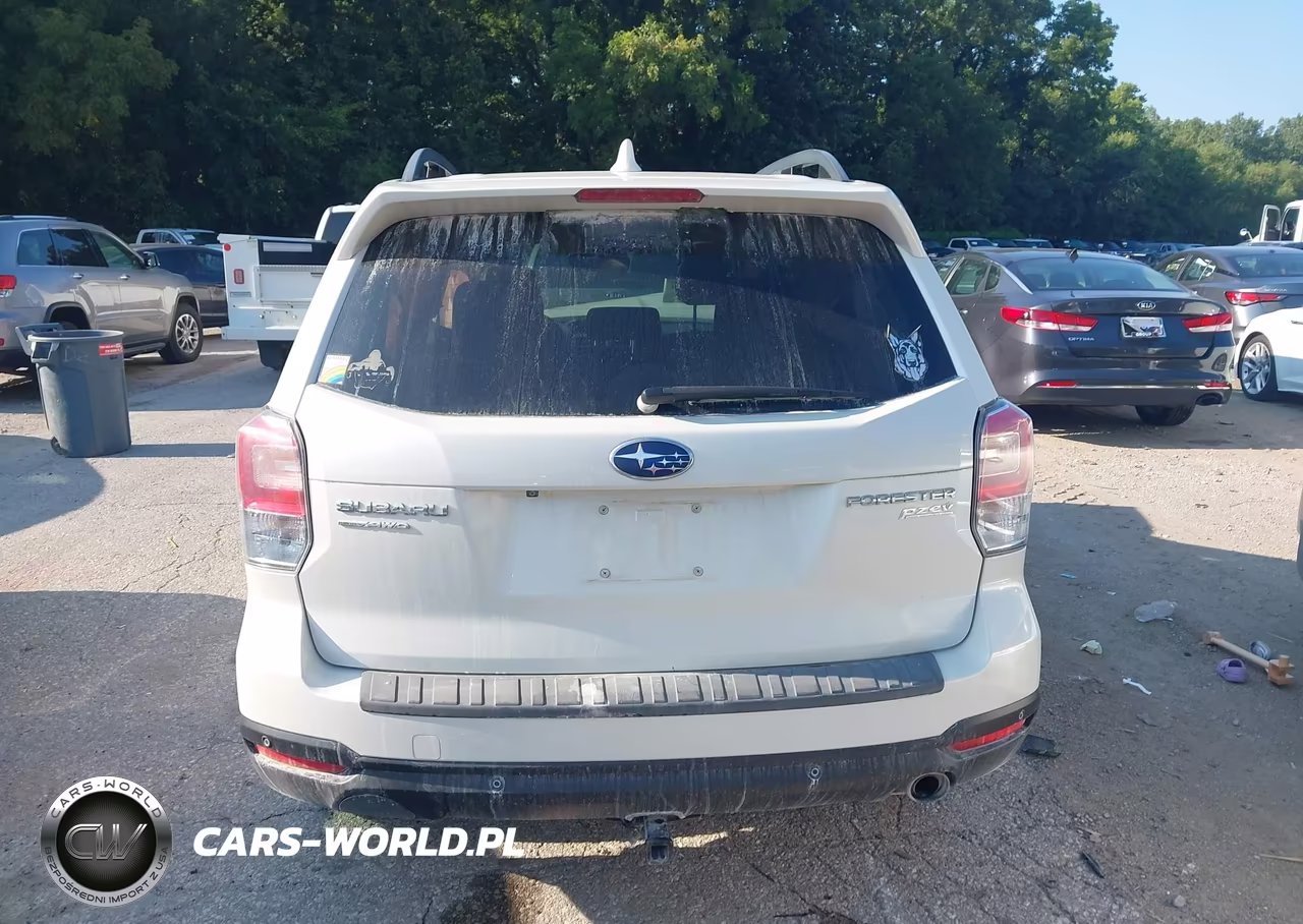 2017 Subaru Forester 2.5I Touring VIN:JF2SJAWC0HH428999 - 16