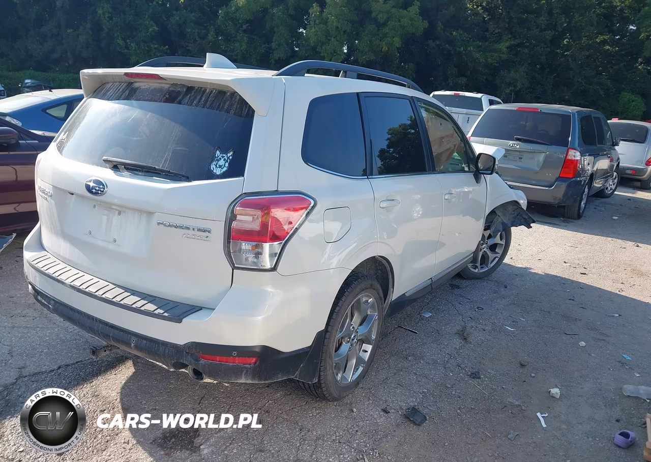 2017 Subaru Forester 2.5I Touring VIN:JF2SJAWC0HH428999 - 4