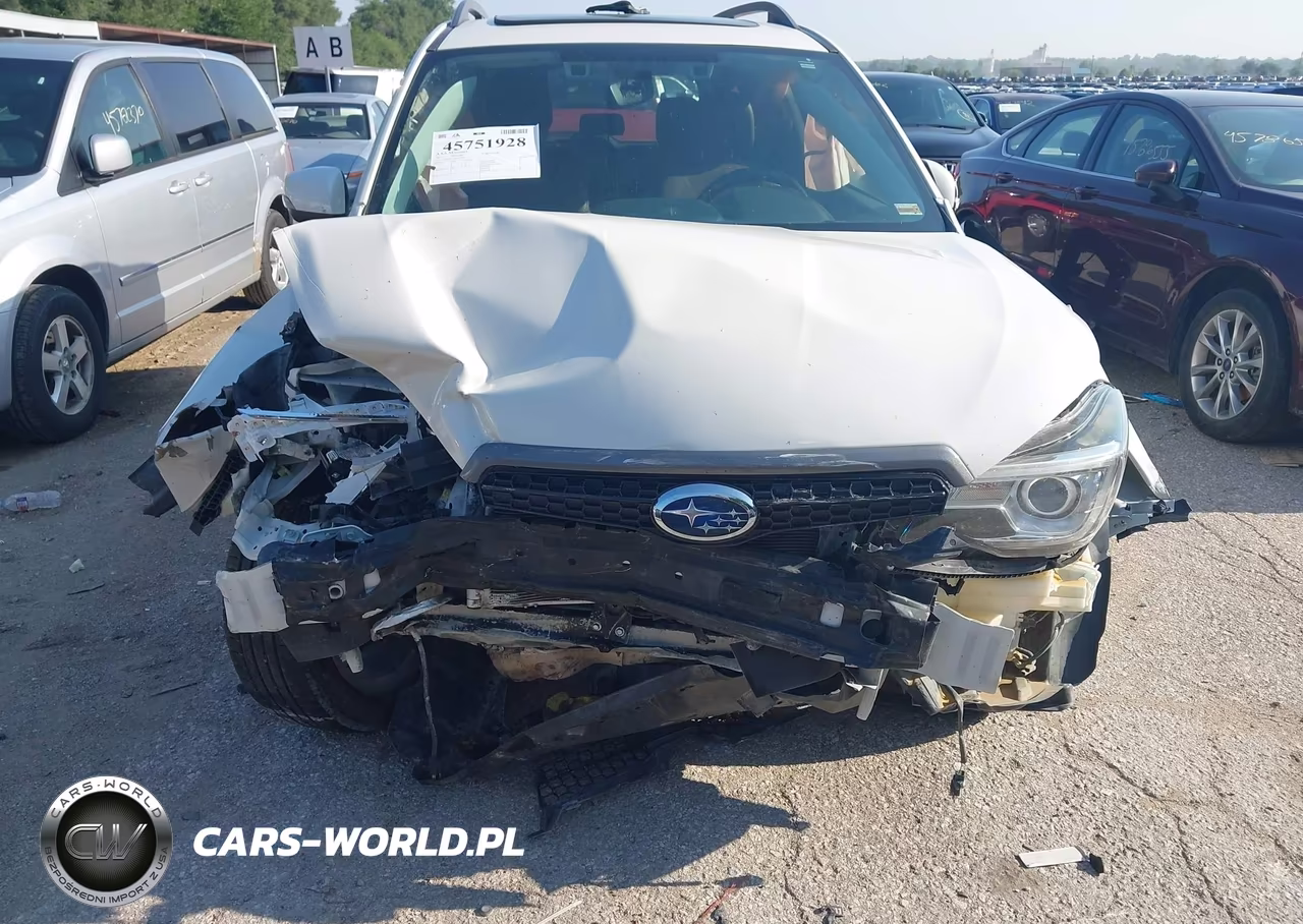 2017 Subaru Forester 2.5I Touring VIN:JF2SJAWC0HH428999 - 6