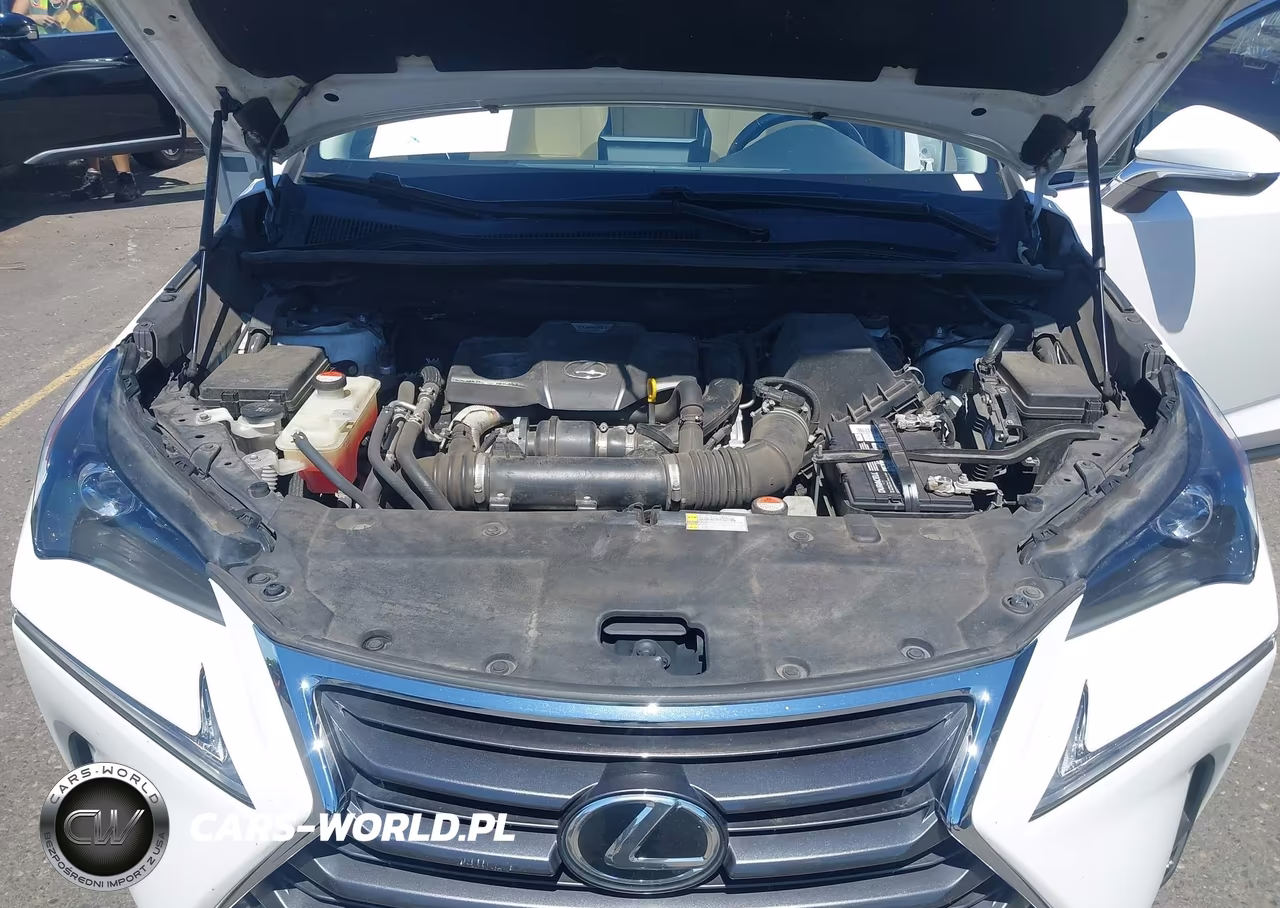 2015 Lexus Nx 200T VIN:JTJBARBZ6F2030569 - 10