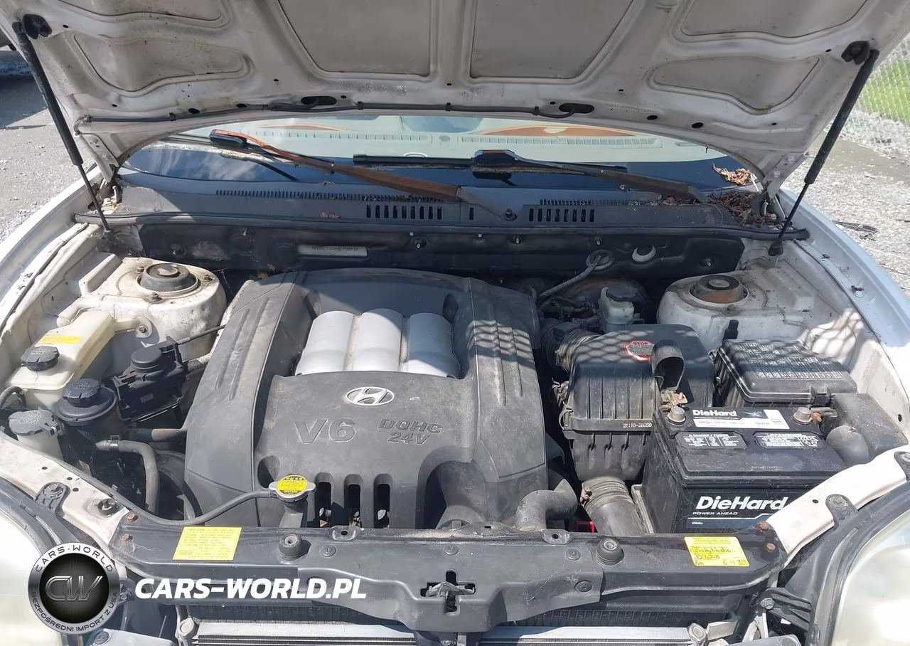 2004 Hyundai Santa Fe Gls VIN:KM8SC73DX4U759434 - 10