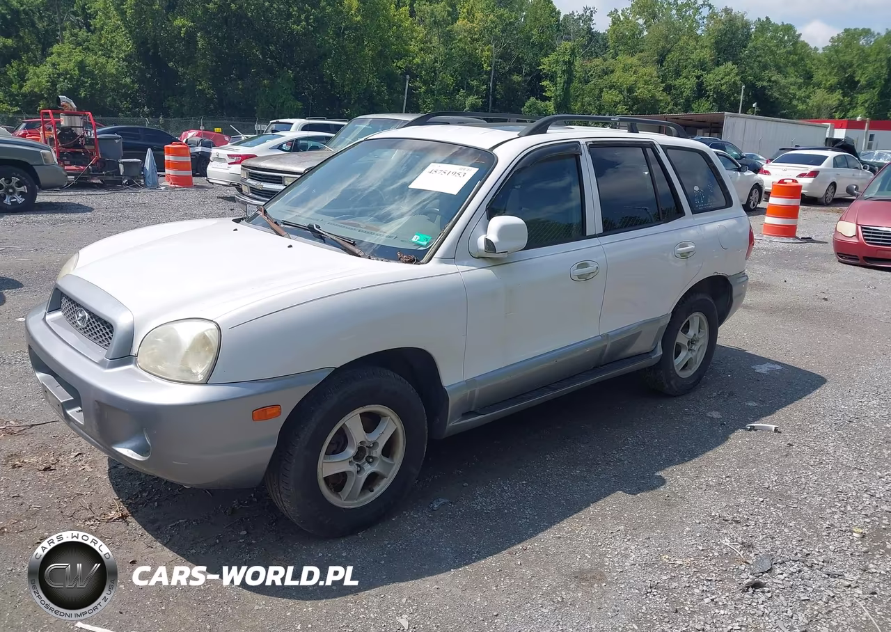 2004 Hyundai Santa Fe Gls VIN:KM8SC73DX4U759434 - 2