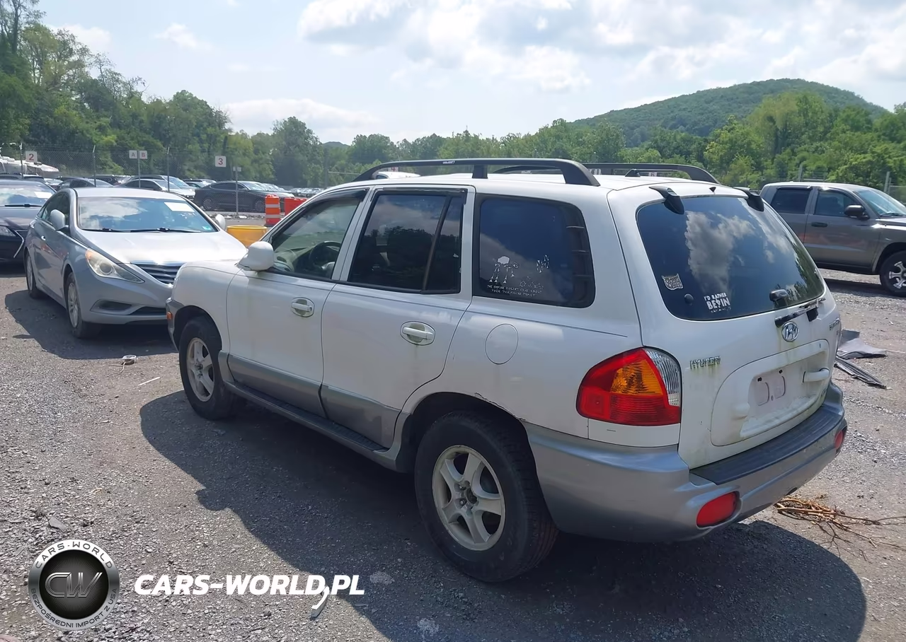2004 Hyundai Santa Fe Gls VIN:KM8SC73DX4U759434 - 3
