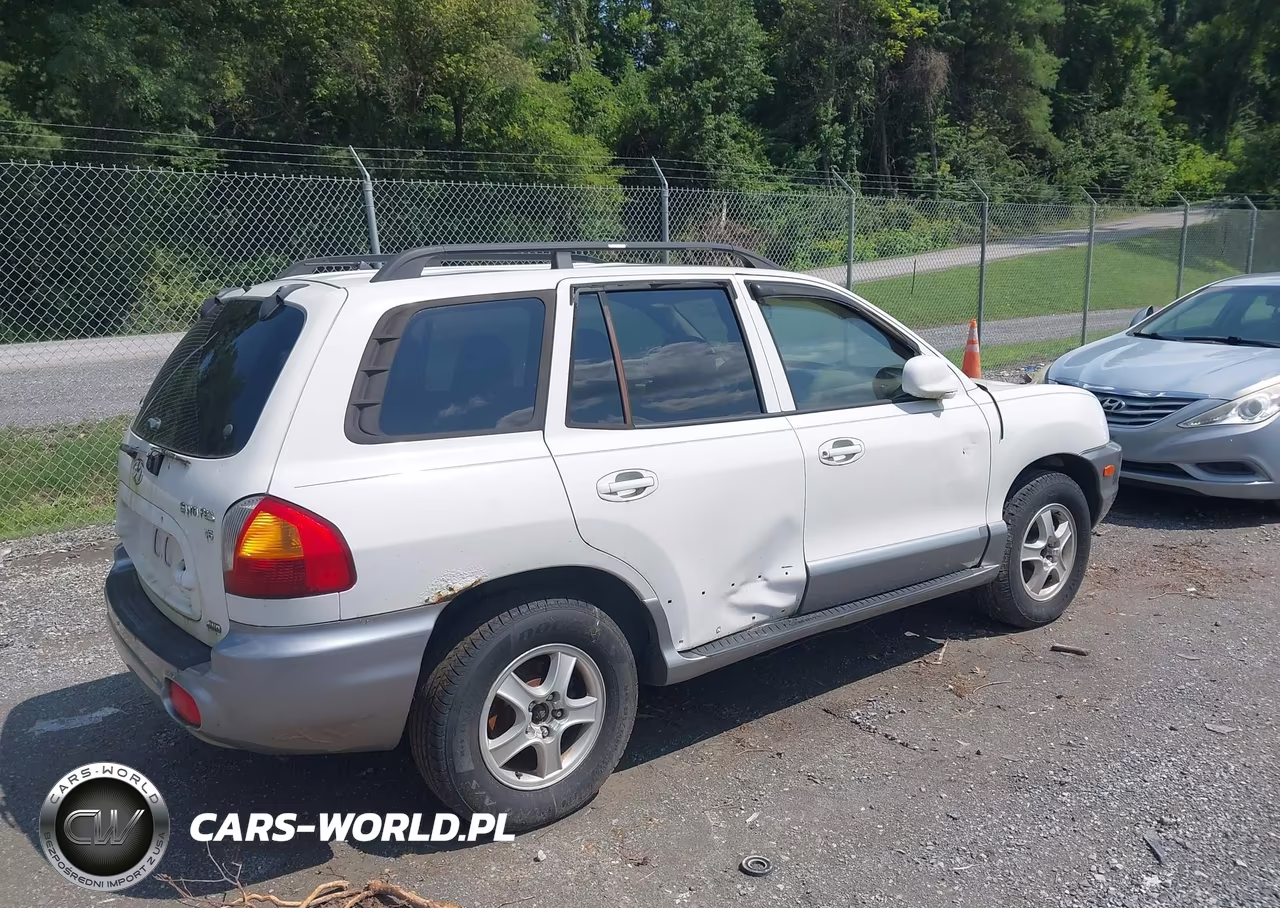 2004 Hyundai Santa Fe Gls VIN:KM8SC73DX4U759434 - 4
