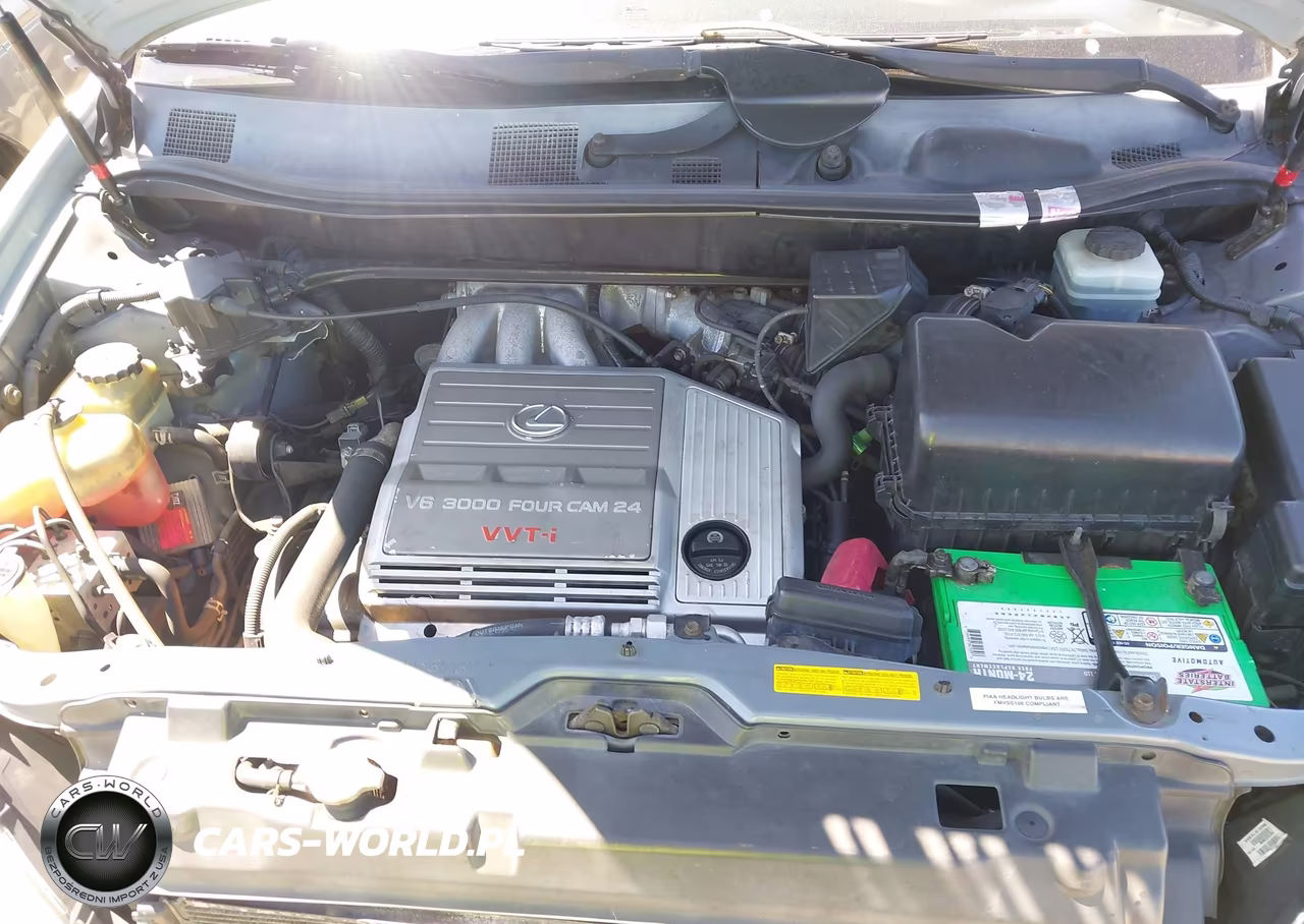 2001 Lexus Rx 300 VIN:JTJGF10U910095503 - 10