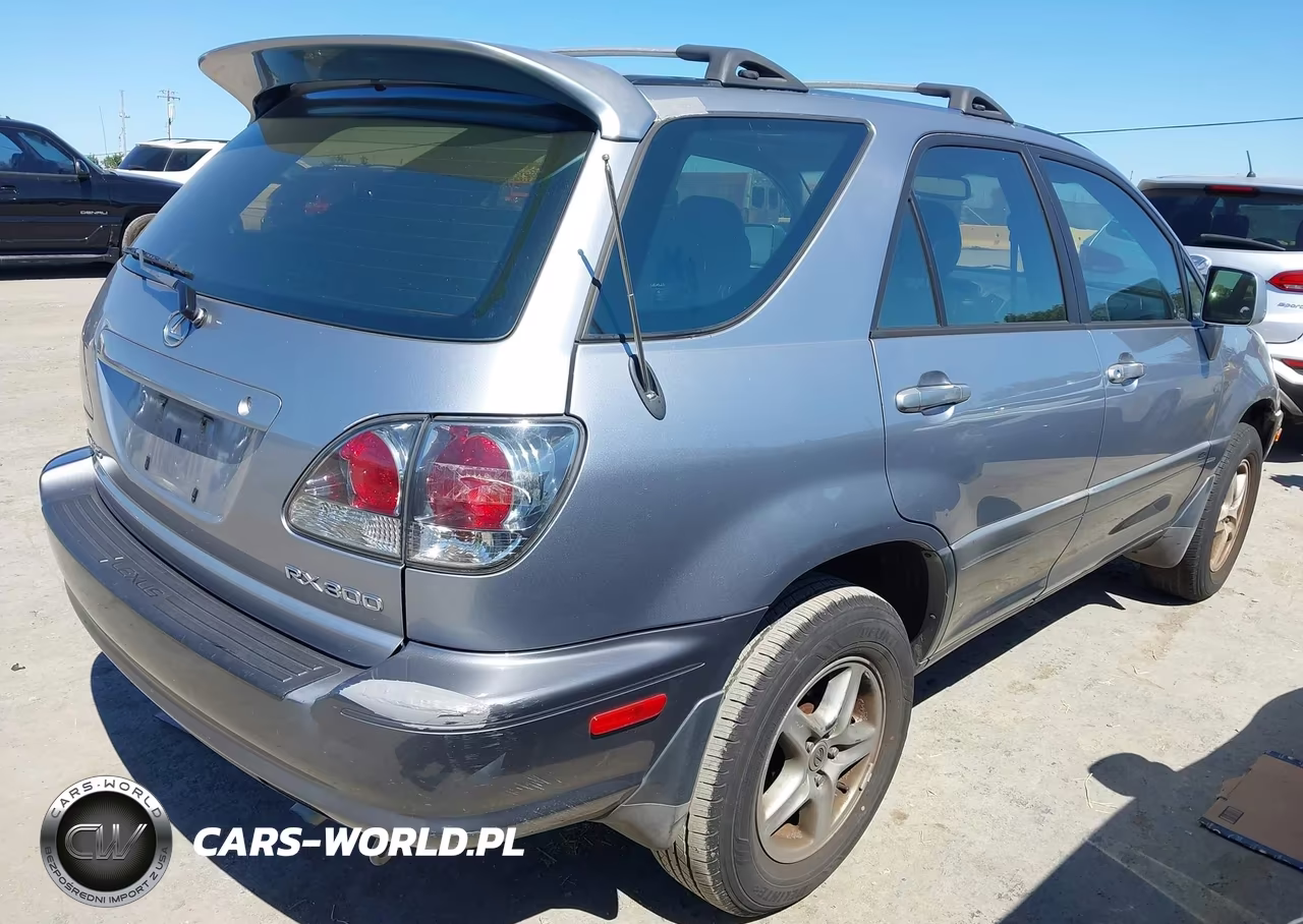 2001 Lexus Rx 300 VIN:JTJGF10U910095503 - 4