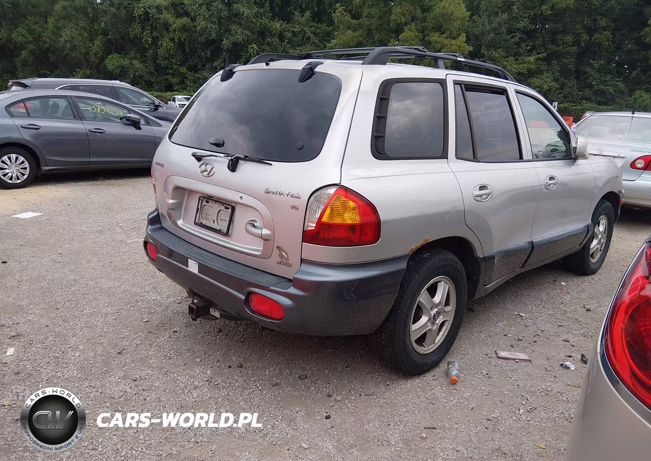 2004 Hyundai Santa Fe Gls VIN:KM8SC73D74L660540 - 4
