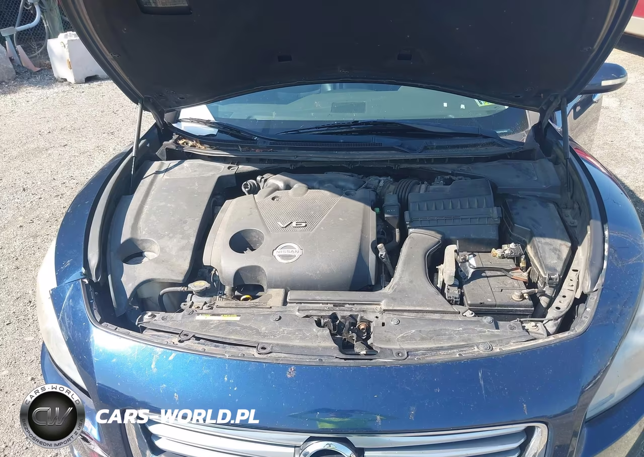 2013 Nissan Maxima 3.5 Sv VIN:1N4AA5AP0DC805887 - 10
