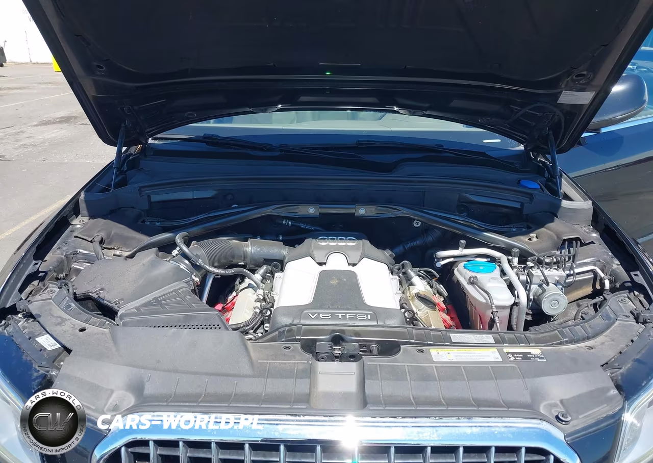 2013 Audi Q5 3.0T Premium Plus VIN:WA1DGAFP5DA067808 - 10
