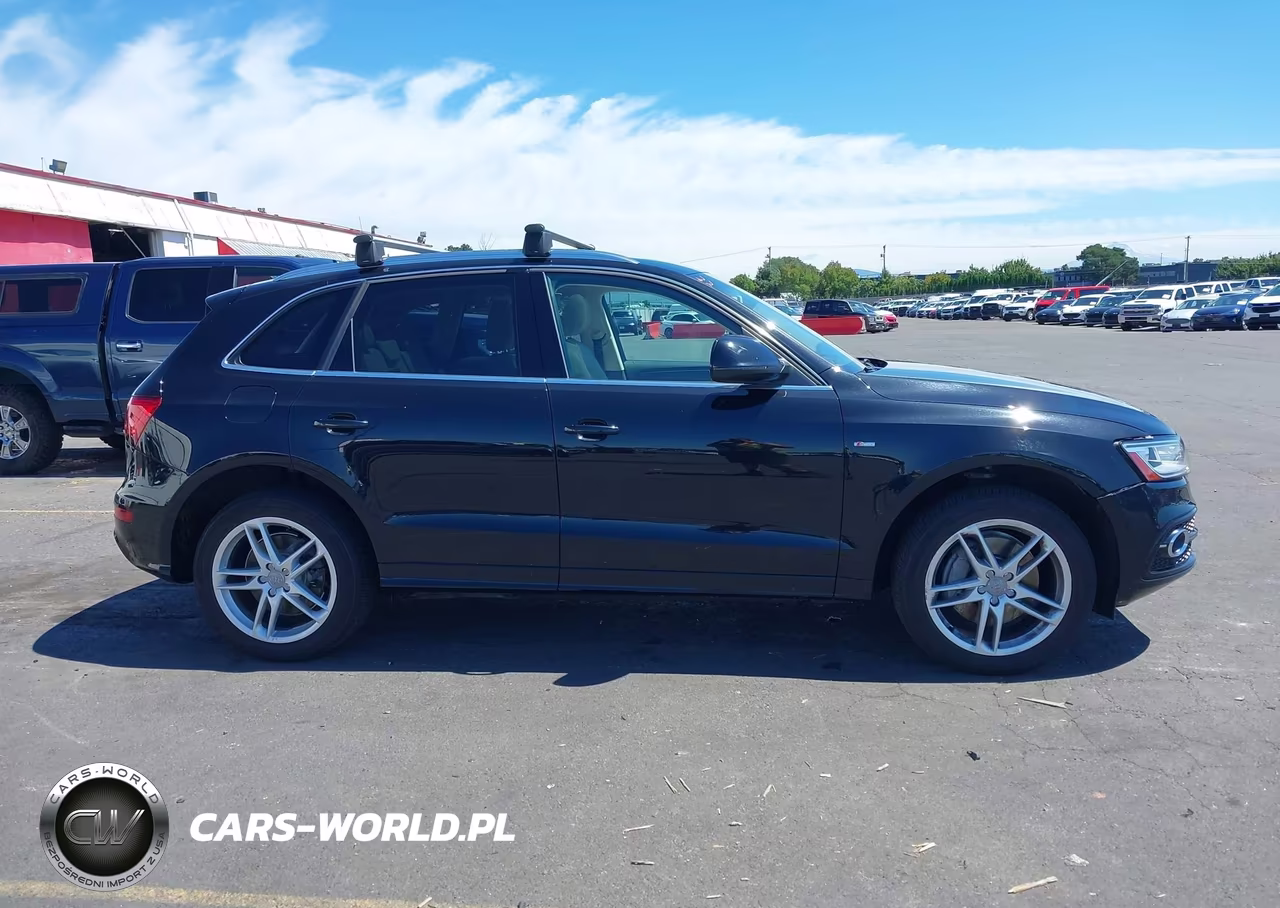 2013 Audi Q5 3.0T Premium Plus VIN:WA1DGAFP5DA067808 - 13