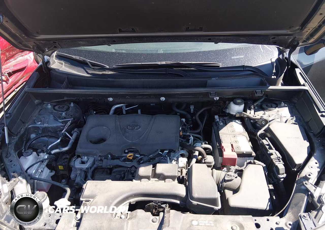 2025 Toyota Rav4 Xle VIN:2T3P1RFV0SC547384 - 10
