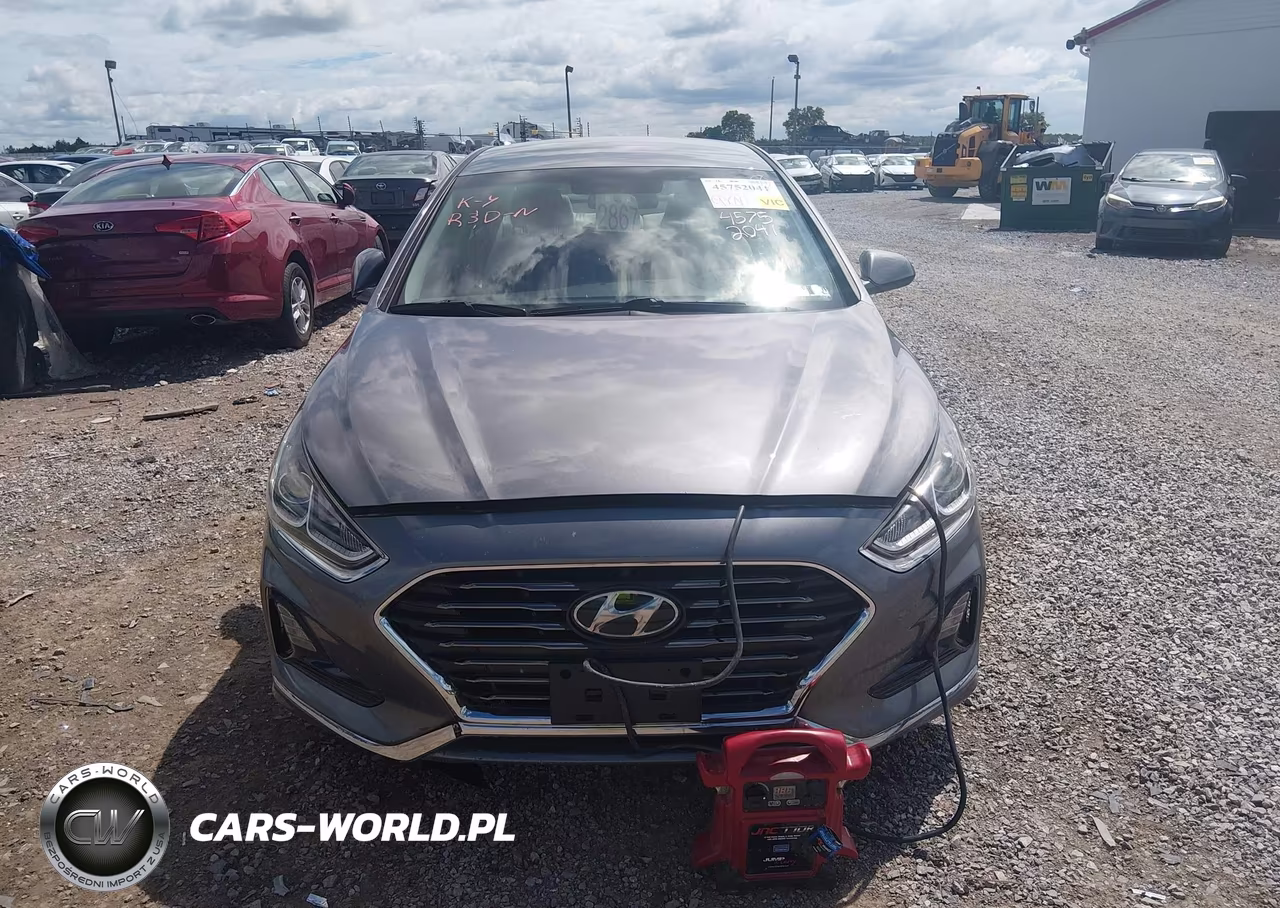 2019 Hyundai Sonata Se VIN:5NPE24AFXKH789810 - 12