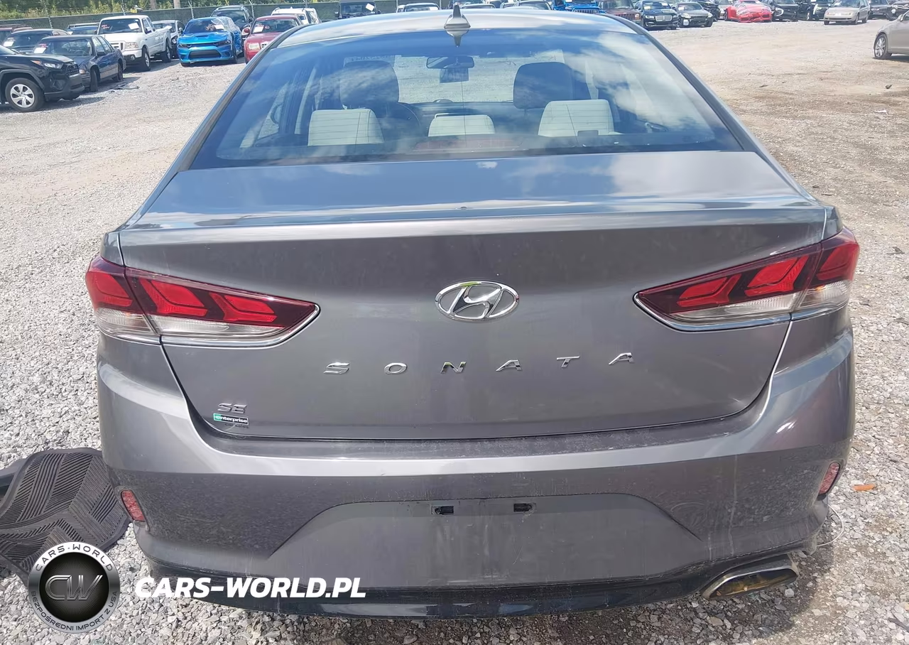 2019 Hyundai Sonata Se VIN:5NPE24AFXKH789810 - 16