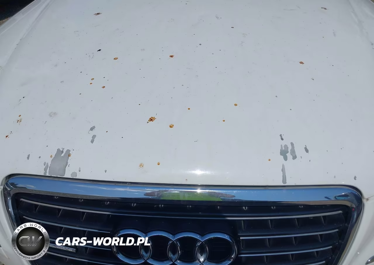 2008 Audi A8 L 4.2 VIN:WAUMV94E78N010825 - 14