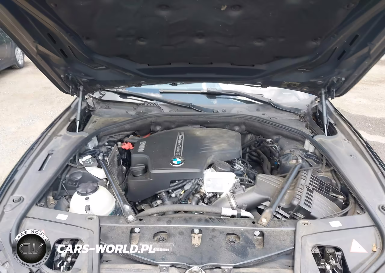 2014 BMW 528I VIN:WBA5A5C51ED502567 - 10