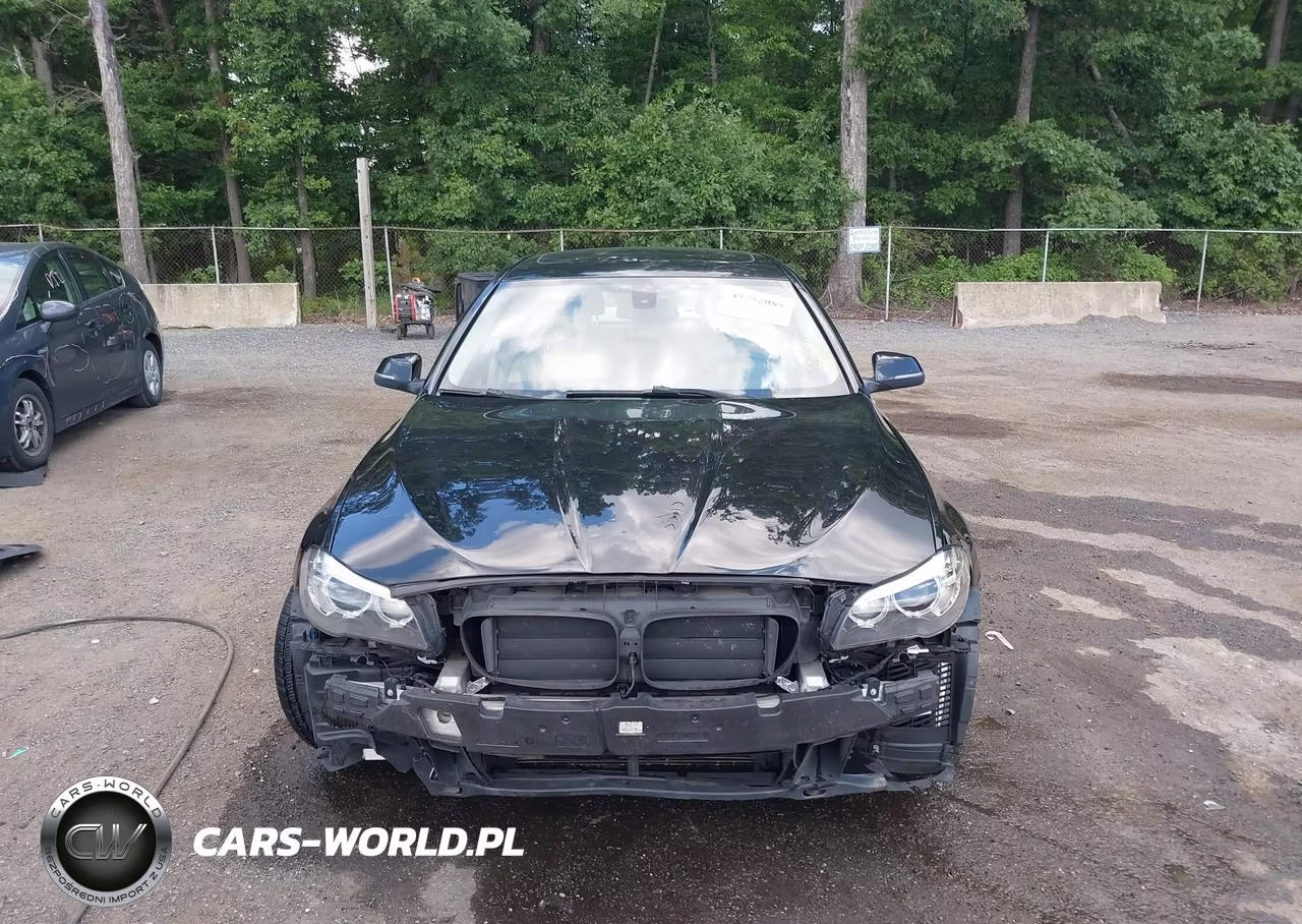 2014 BMW 528I VIN:WBA5A5C51ED502567 - 12