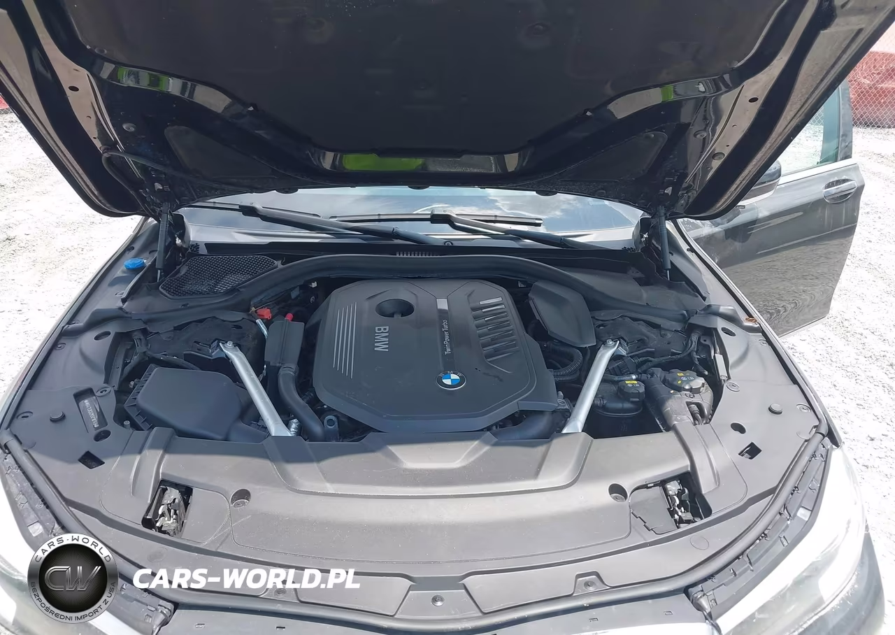 2019 BMW 740I VIN:WBA7E2C52KB216746 - 10