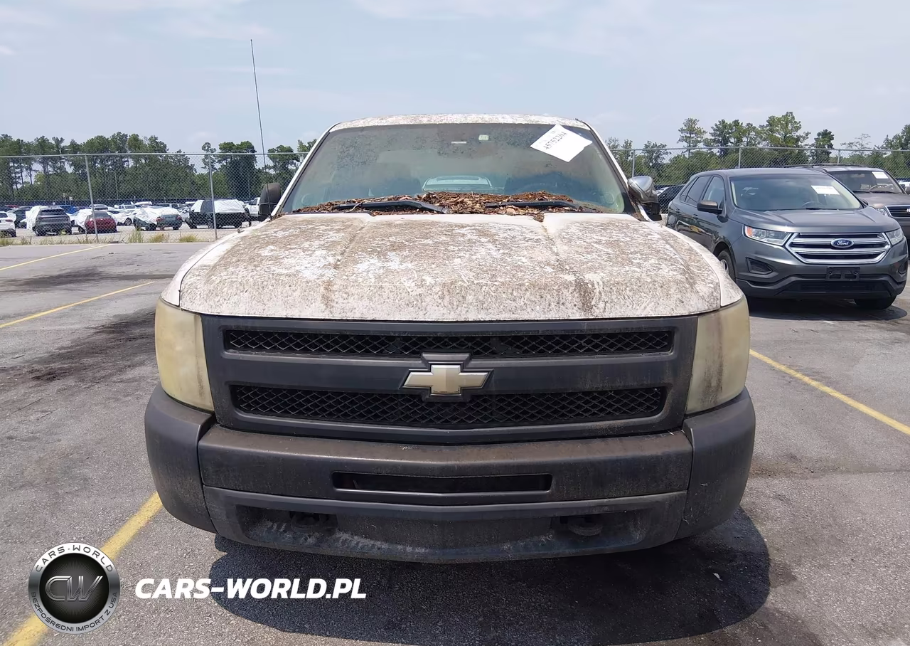 2011 Chevrolet Silverado 1500 Work Truck VIN:1GCRCPEX1BZ341659 - 12
