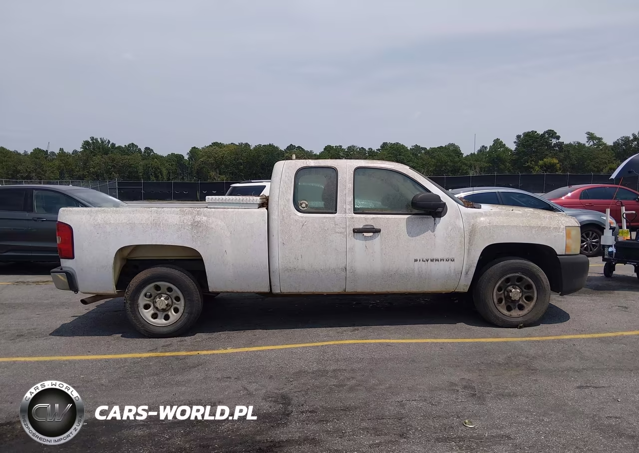 2011 Chevrolet Silverado 1500 Work Truck VIN:1GCRCPEX1BZ341659 - 13