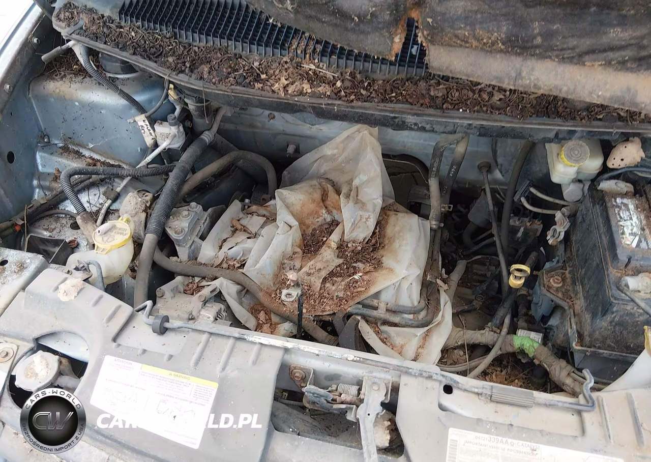 2005 Dodge Caravan Se VIN:1D4GP25B65B257212 - 10