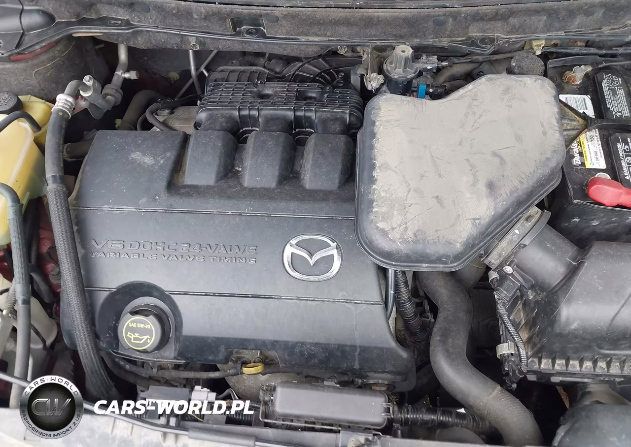 2010 Mazda Cx-9 Touring VIN:JM3TB3MA7A0221938 - 10
