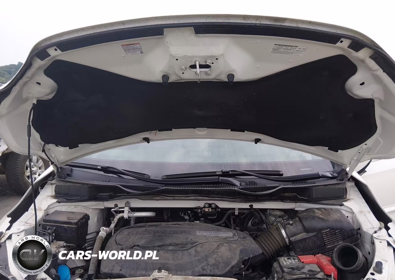 2019 Honda Odyssey Elite VIN:5FNRL6H9XKB120865 - 10