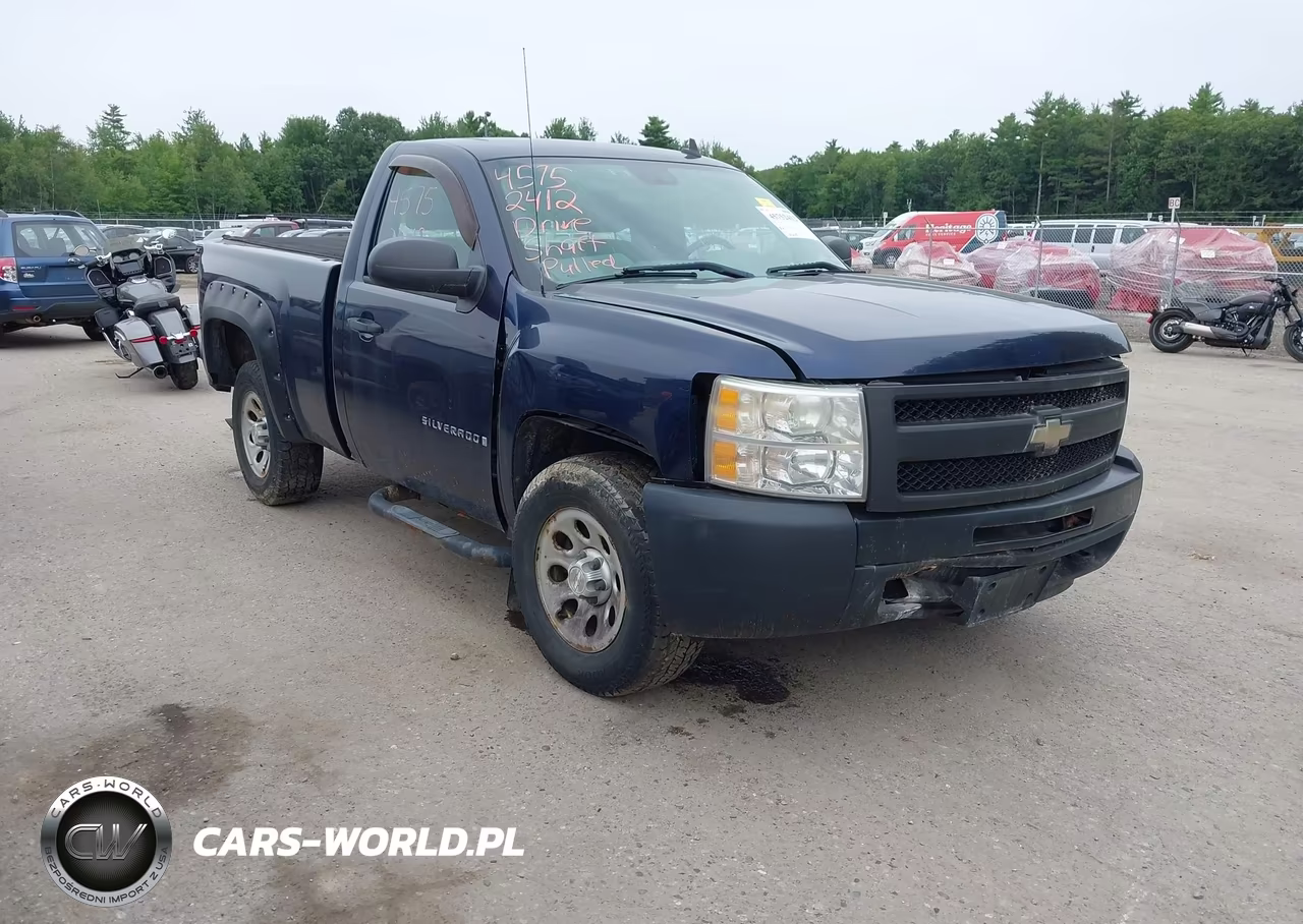 2009 Chevrolet Silverado 1500 Work Truck