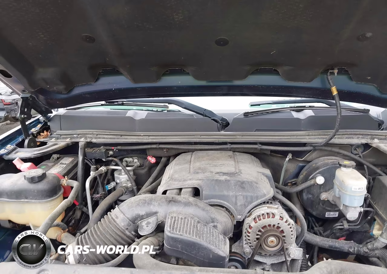 2009 Chevrolet Silverado 1500 Work Truck VIN:1GCEK14C49Z102226 - 10