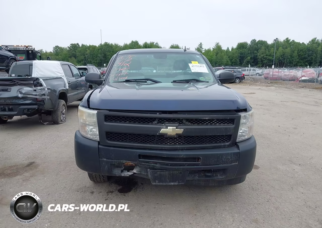 2009 Chevrolet Silverado 1500 Work Truck VIN:1GCEK14C49Z102226 - 12