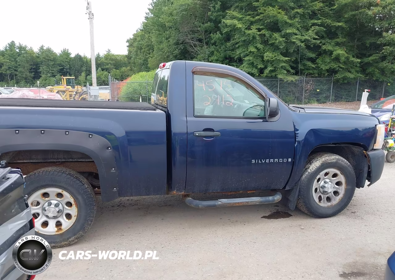 2009 Chevrolet Silverado 1500 Work Truck VIN:1GCEK14C49Z102226 - 13