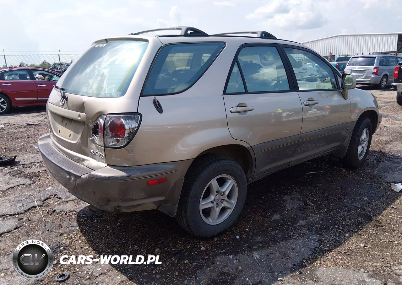 2002 Lexus Rx 300 VIN:JTJGF10UX20148002 - 4