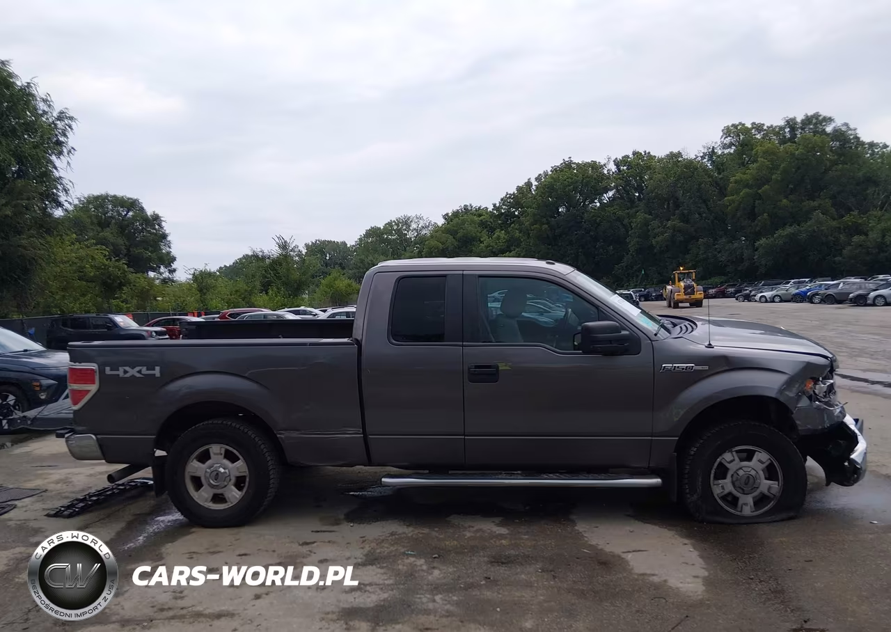 2013 Ford F-150 Xlt VIN:1FTFX1EF9DKG53655 - 14