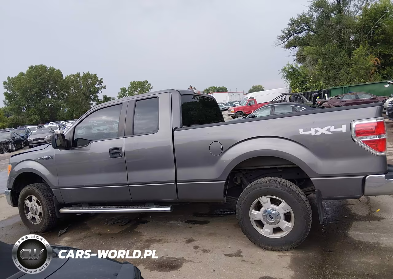 2013 Ford F-150 Xlt VIN:1FTFX1EF9DKG53655 - 15