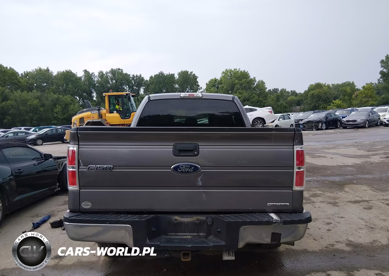 2013 Ford F-150 Xlt VIN:1FTFX1EF9DKG53655 - 17