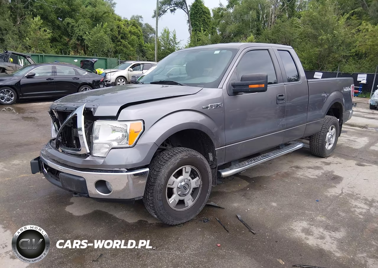 2013 Ford F-150 Xlt VIN:1FTFX1EF9DKG53655 - 2