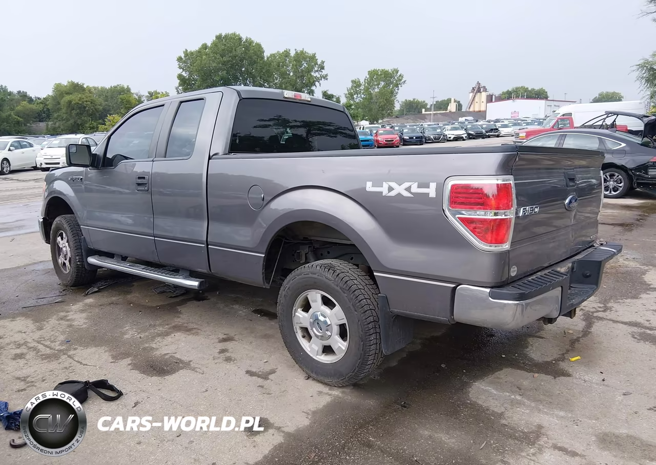 2013 Ford F-150 Xlt VIN:1FTFX1EF9DKG53655 - 3