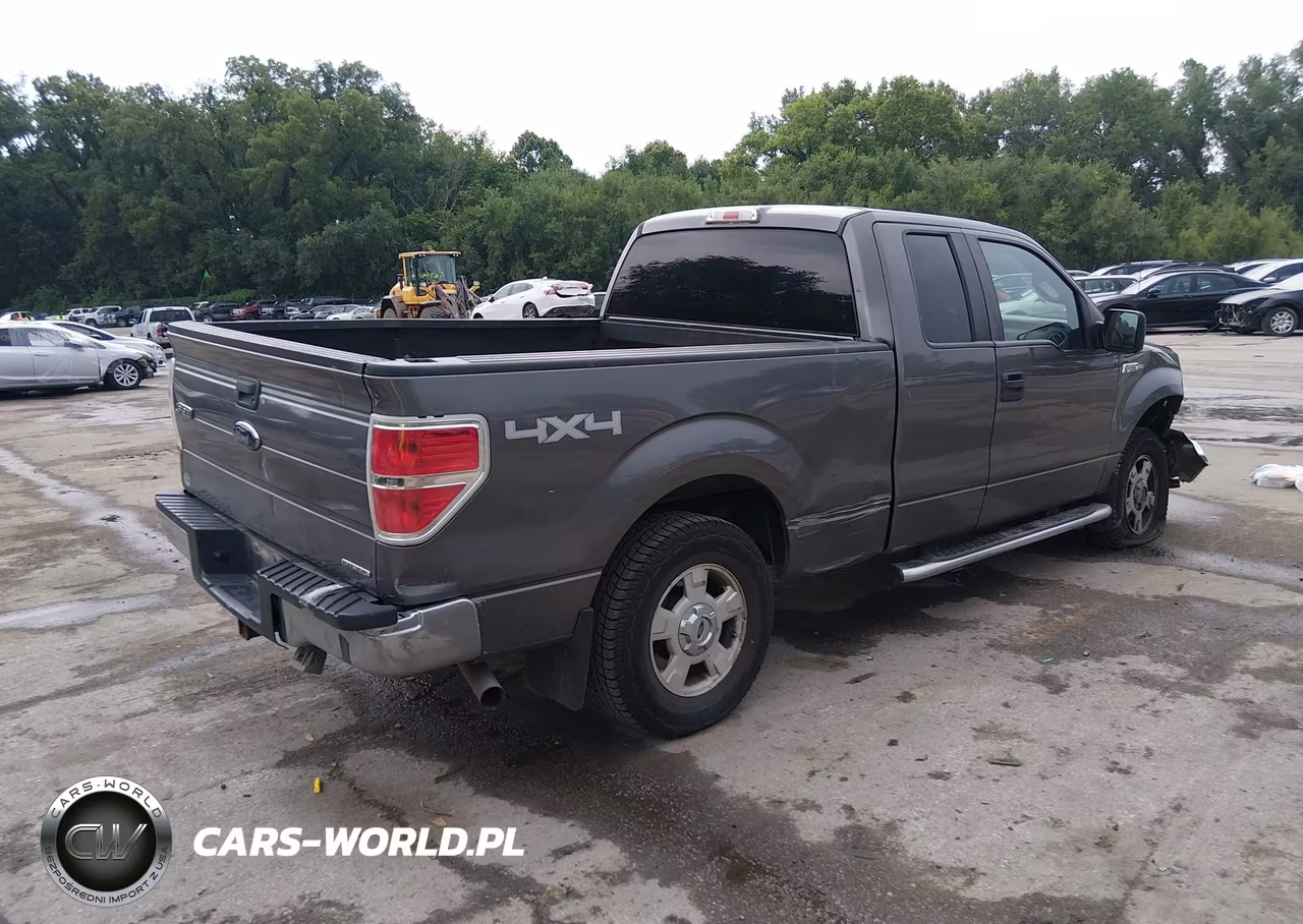 2013 Ford F-150 Xlt VIN:1FTFX1EF9DKG53655 - 4