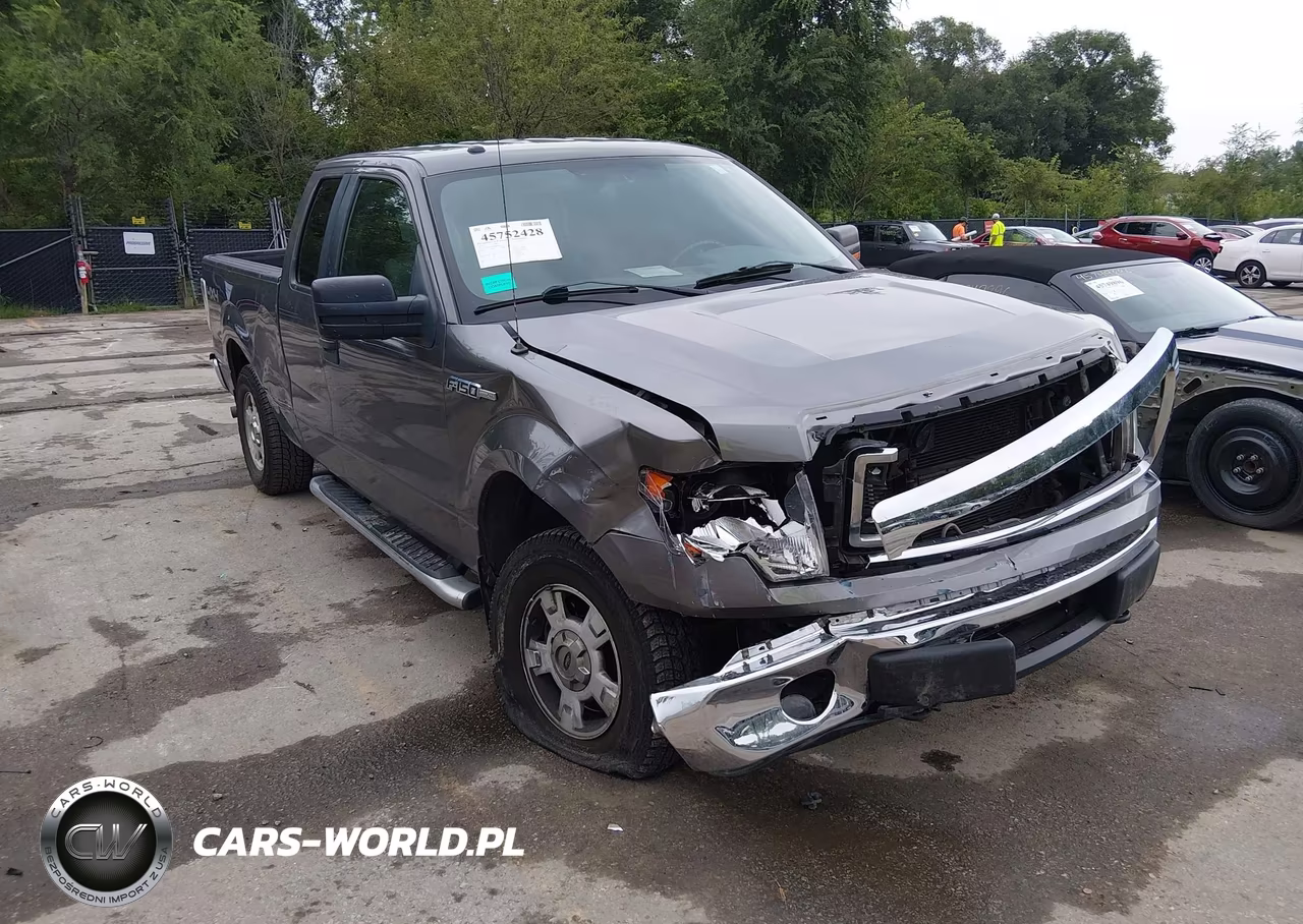 2013 Ford F-150 Xlt VIN:1FTFX1EF9DKG53655 - 6