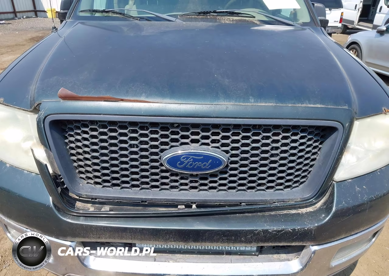 2004 Ford F-150 Fx4-Lariat-Xl-Xlt VIN:1FTPX14514NC25915 - 14