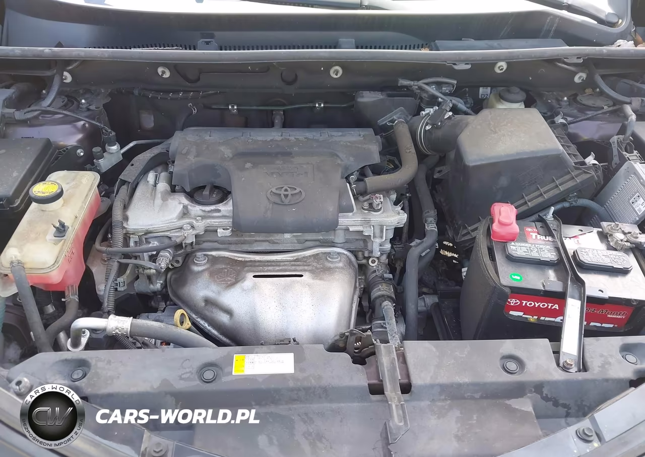 2016 Toyota Rav4 Xle VIN:2T3WFREV5GW281980 - 10
