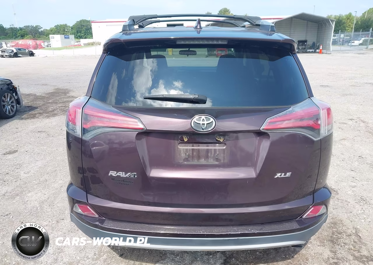 2016 Toyota Rav4 Xle VIN:2T3WFREV5GW281980 - 16