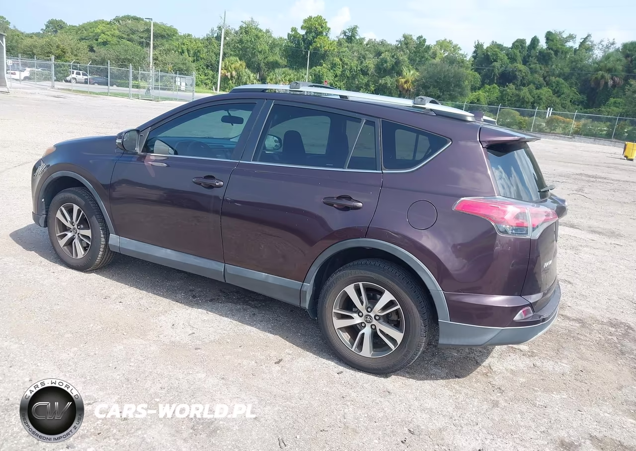 2016 Toyota Rav4 Xle VIN:2T3WFREV5GW281980 - 3